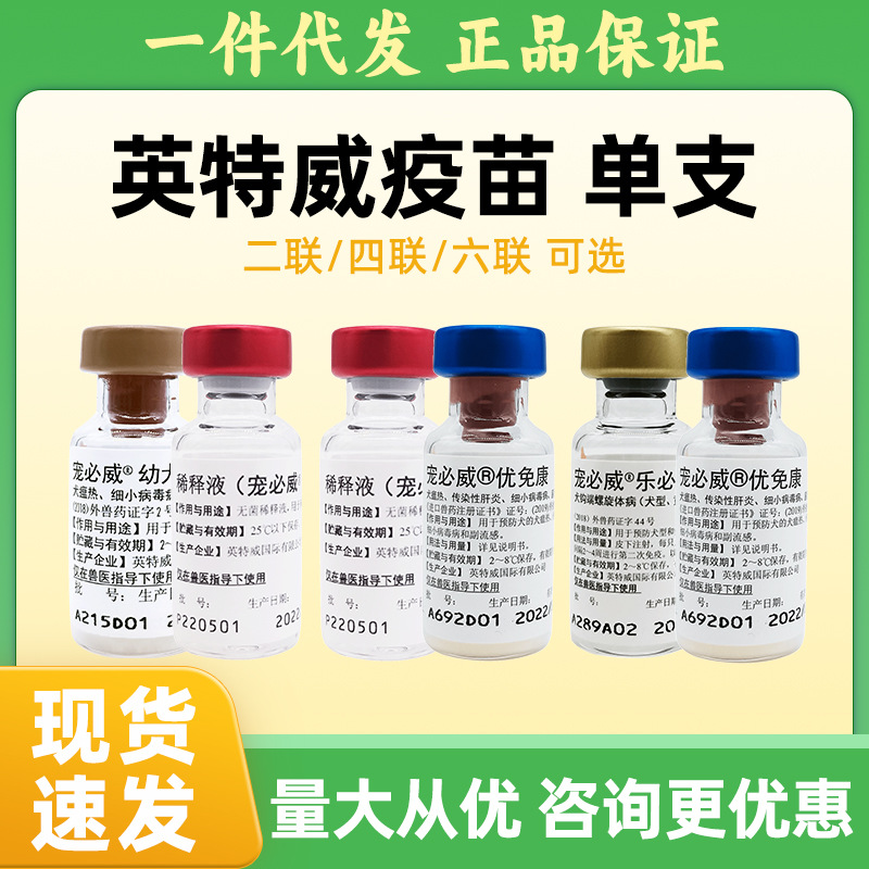 进口英特威狂犬疫苗狗二联四联六联宠必威锐必威宠物犬猫疫苗批发