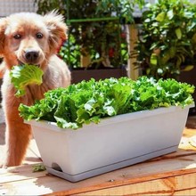 Vegetable pots flower Plant rectangular large planting box