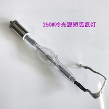 桐庐精锐冷光源配件 JRL-I JRL-1  250W氙灯冷光源灯泡15mm直径