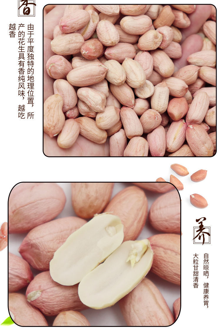 山东鲁花花生米晒干精选大长粒去壳粉皮自产特价批发农家手剥