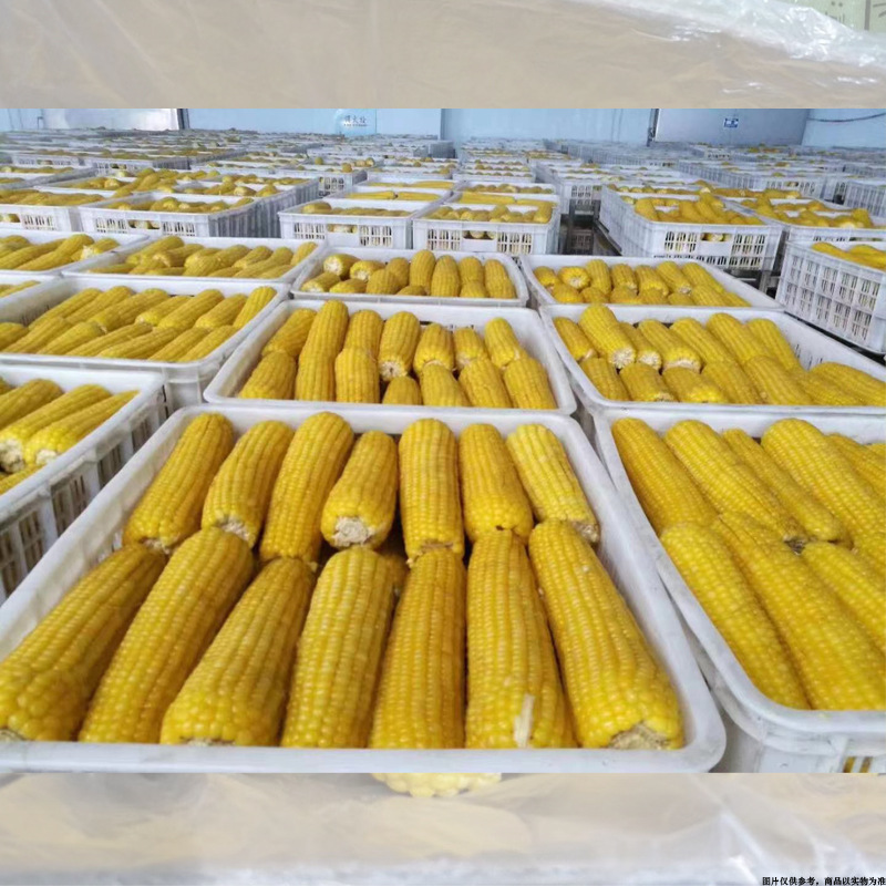 速冻玉米棒冷冻蔬菜批发冻玉米棒冷冻食品冷冻玉米粒商用冻品整箱