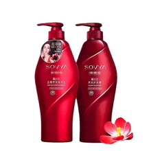 pe瓶子t500mlpet瓶洗发水瓶洗发水瓶500ml