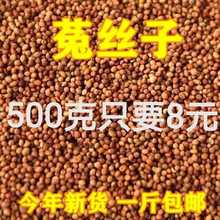 中药材批野生发菟丝子兔丝子内蒙菟丝子菟丝子茶新货50克多规格