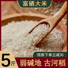 华粳5号水稻种子粳稻种子高产抗病优质香粳米种子稻谷种籽可留种