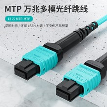 多模万兆MTP-MTP12芯OM3-300光纤跳线40/100G光模块用1米