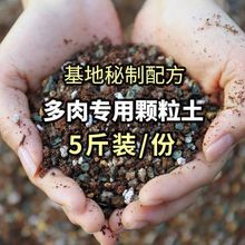 多肉植物配方营养土 肉肉控养颗粒土 多肉专用土