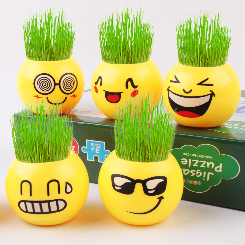 笑脸表情diy盆栽 长草娃娃工艺品微景观装饰品盆栽植物花易活好养