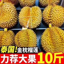 泰国进口金枕头榴莲麝香猫果猫山王新鲜孕妇水果2斤
