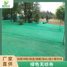 厂家生产草坪绿化无纺布 防尘透气保湿工地高速边护坡绿色无纺布