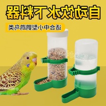 鹦鹉食盒鸟用饮水器喂水罐自动下料器芦丁鸡喝水壶喂食器用品代货