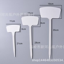 可印字塑料斜面弓形插地牌 大田试验标签牌 材料园艺立体插地牌