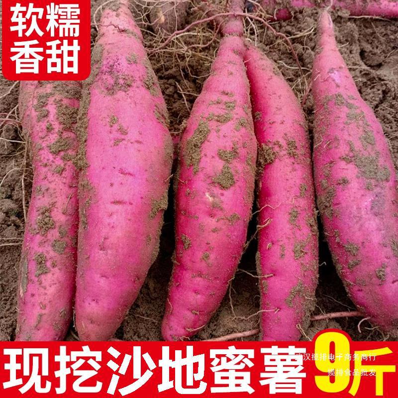 蜜薯新鲜现挖9斤当季山芋糖心沙地红薯 农家香甜黄心地瓜番薯整箱