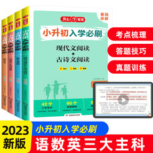 2024小升初入学必刷题人教版知识大集结毕业总复习资料书六年级下