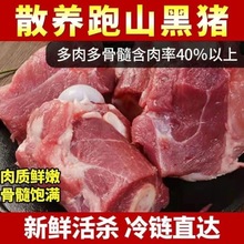 猪肉猪棒骨块新鲜骨髓熬汤骨头冷冻煲汤腿骨猪大骨段跨境速卖通