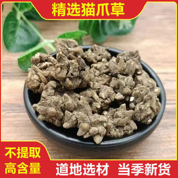 猫爪草猫爪草新鲜水洗猫抓草猫爪草夏枯草