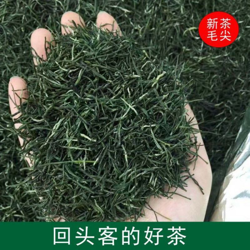 信阳毛尖茶2023新茶嫩芽雨前春茶绿茶毛尖日照五峰绿茶毛尖250