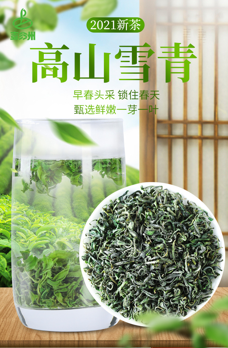 原产地厂家批发新茶上市2021年春茶日照充足高山绿茶浓香型雪青