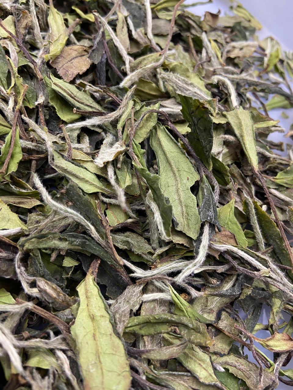 2020新茶花香白牡丹散茶福鼎大白茶原料清爽回甘传统工艺老白茶饼