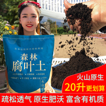 云南腐叶土腐熟透气腐殖土多肉绿植家用种花种菜专用营养土泥世贵