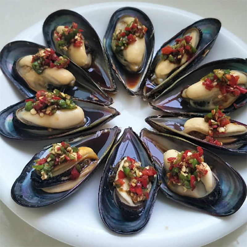 鲜活大青口贝新鲜超大海虹带壳淡菜野生贻贝类生鲜海鲜水产包邮