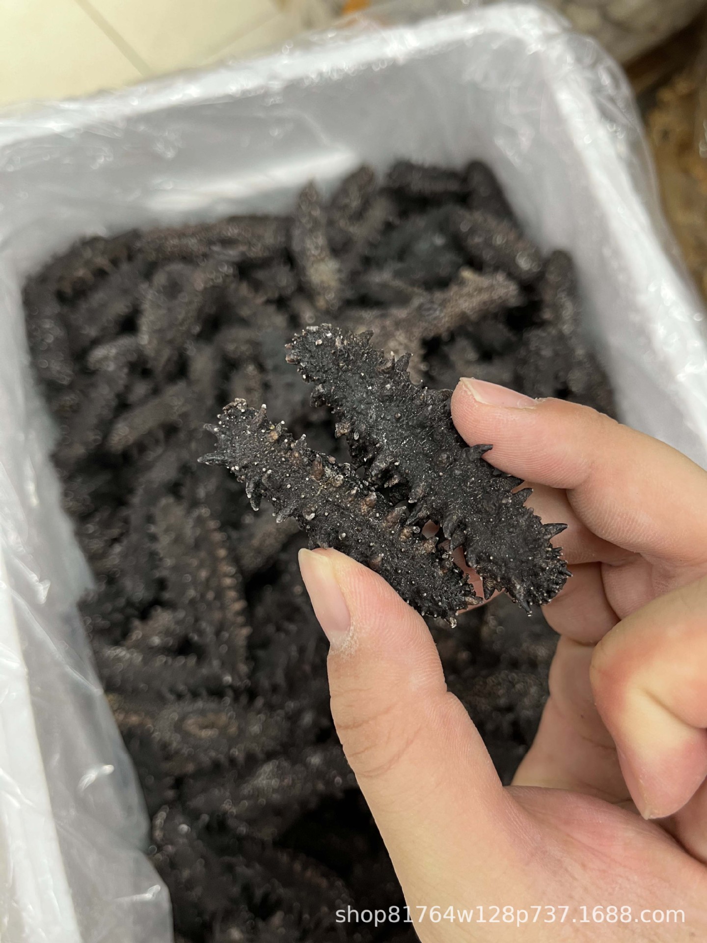 批发 大连淡干辽参刺参 海参泡发 底播参 水产干货 可打礼盒-阿里巴巴