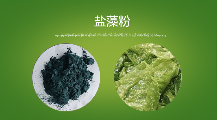 盐藻粉99% 盐藻提取物 厂家包邮 盐藻素 盐藻浓缩粉