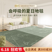地毯客厅床边房间卧室2024新款免洗可擦免打理轻奢高级感隔音地垫