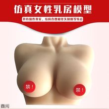 乳房模型教具 催乳师培训 仿真女性假乳房义乳母乳哺乳教学纯硅胶