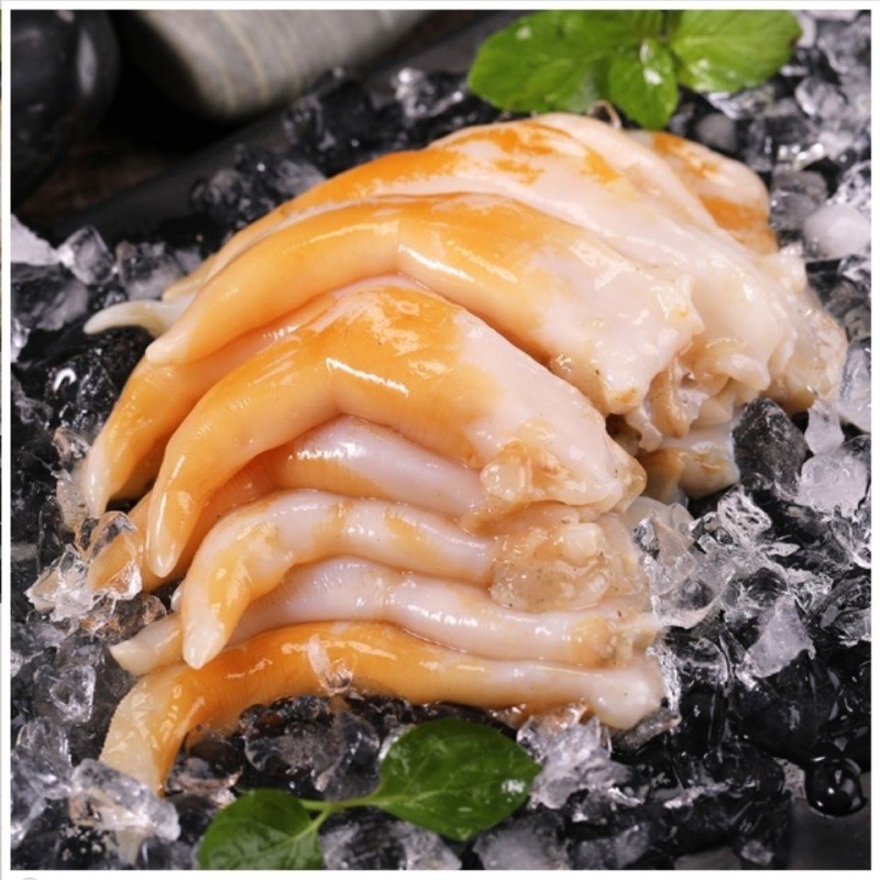 鸟贝肉顺丰刺身金钩日料火锅食材鸟蛤哈喇贝类冷冻特产礼盒装批发