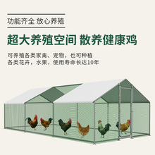 户外养鸡棚加固农村鸡笼子鸡棚家用养殖孔雀养鸡老搭建小房子