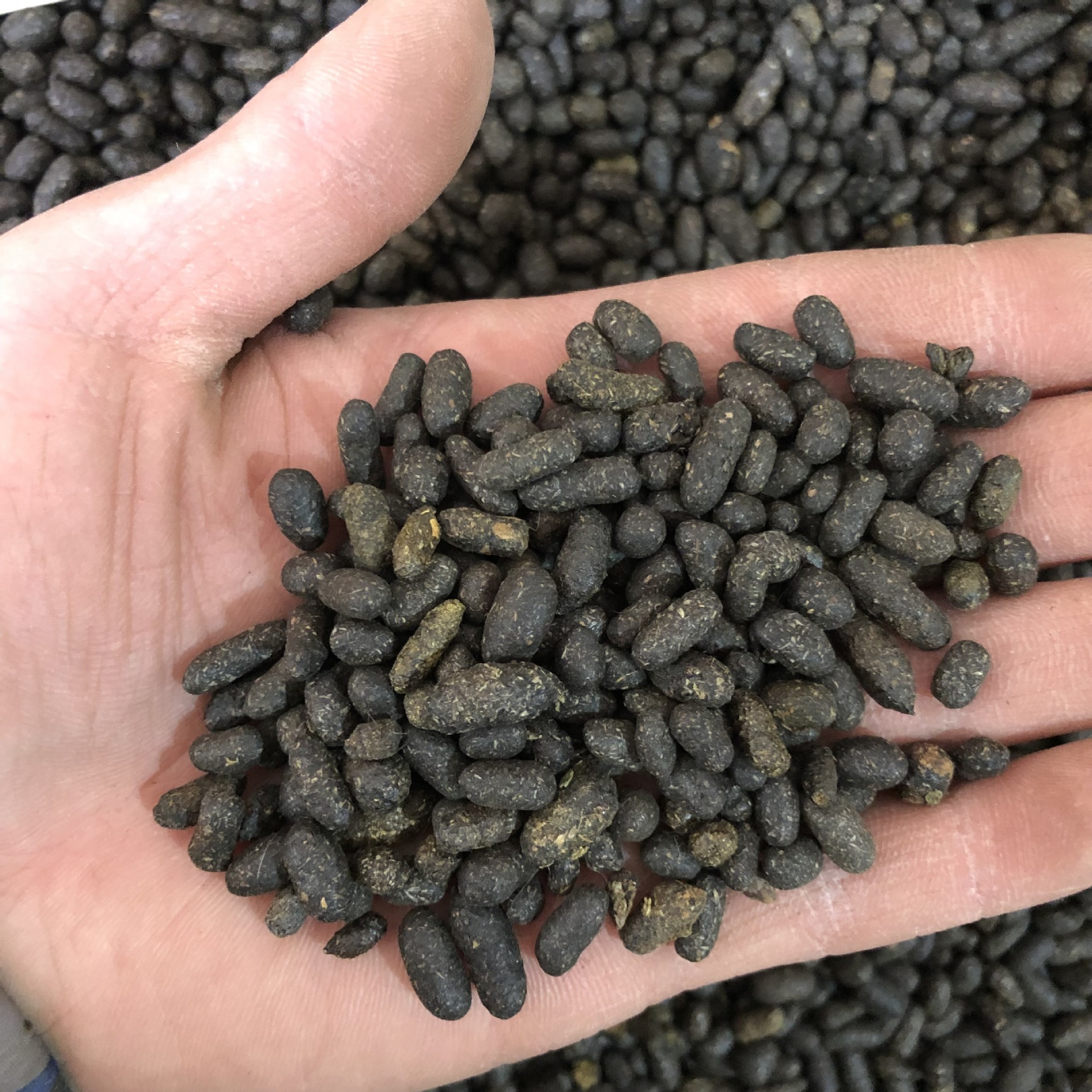 五灵脂500克〖成胜药业〗 中药材多种规格产地供应