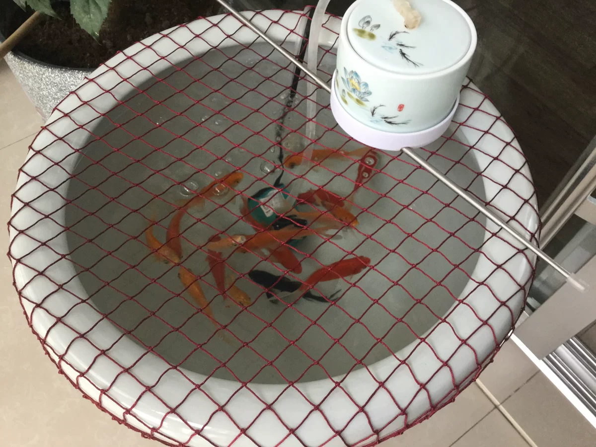 包邮鱼缸防跳网圆缸网罩鱼缸防跳网罩小型鱼池防跳网防逃网罩网盖