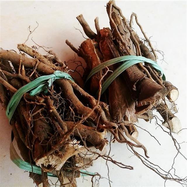 福州特产草根炖猪脚汤料乏力草番鸭树根晒全干闽清永泰400g山苍子