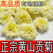 泰尚皇黄山贡菊正宗特级罐装40g安徽黄山徽州贡菊白菊冬菊11月菊