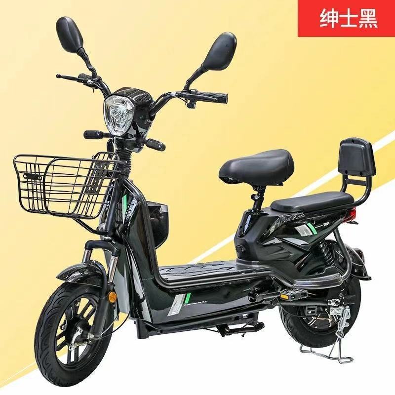 雅迪爱玛新日同款新国标电动自行车两轮成人电动车小型双人电瓶车