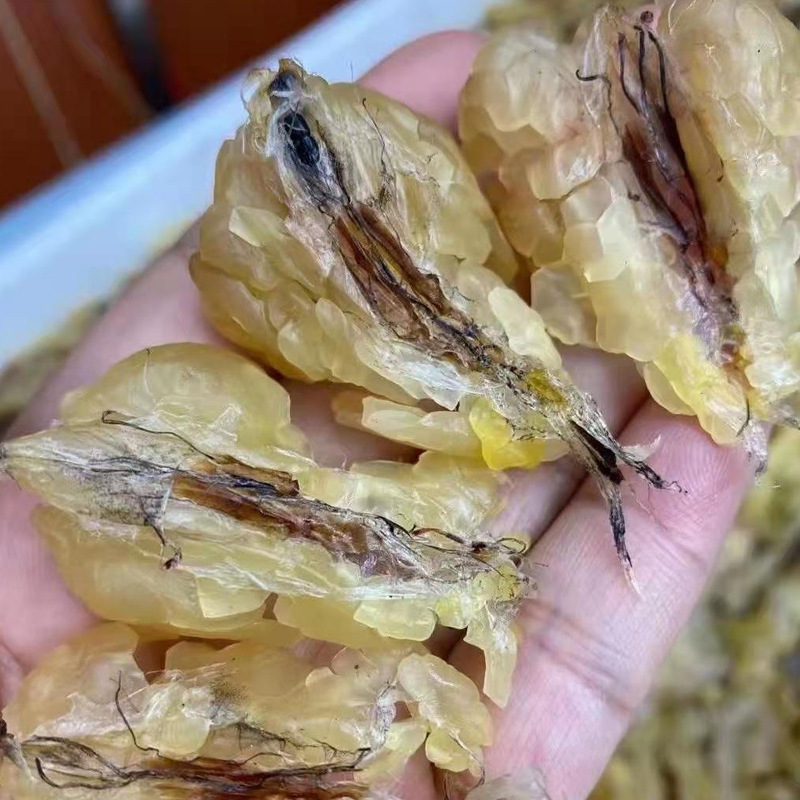 易芝堂长白山产地干林蛙油雪蛤油东北林蛙油蛤蟆油雪蛤膏干货批发