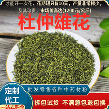 定制杜仲雄花野生茶张家界杜仲雄花茶 小吴药材散装加杜仲花粉