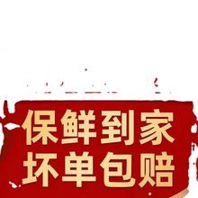 三文鱼刺身挪威新鲜生吃日料冰鲜中段宝宝辅食批发亚马逊跨境厂家