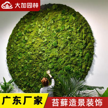 青苔苔藓植物造景永生苔藓植物墙仿真绿植墙装饰材料盒装苔藓批发