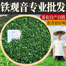 【茶农直销】特级铁观音茶叶浓香型乌龙茶安溪新茶罐散装500g批发