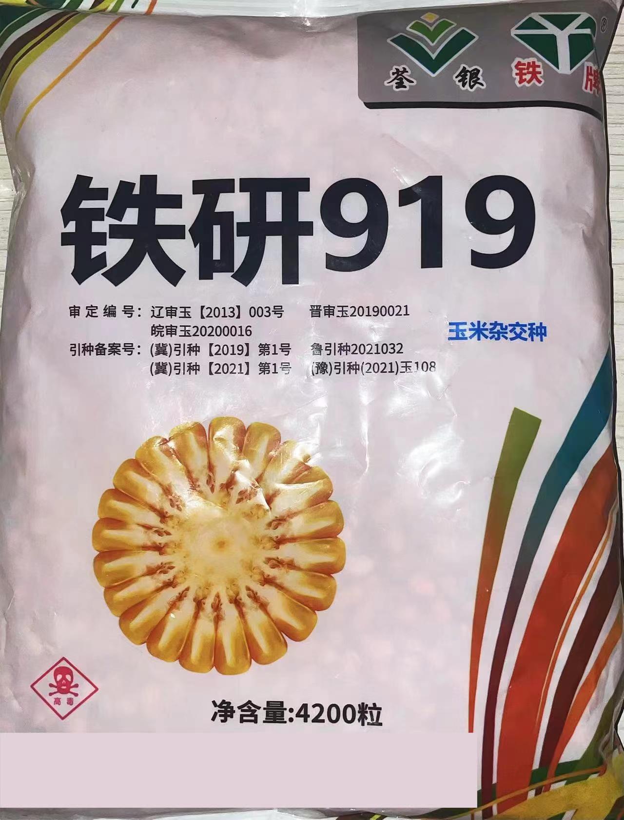 杂交种种子 铁研919玉米种子 厂家批发 农业类杂交玉米种子-阿里巴巴