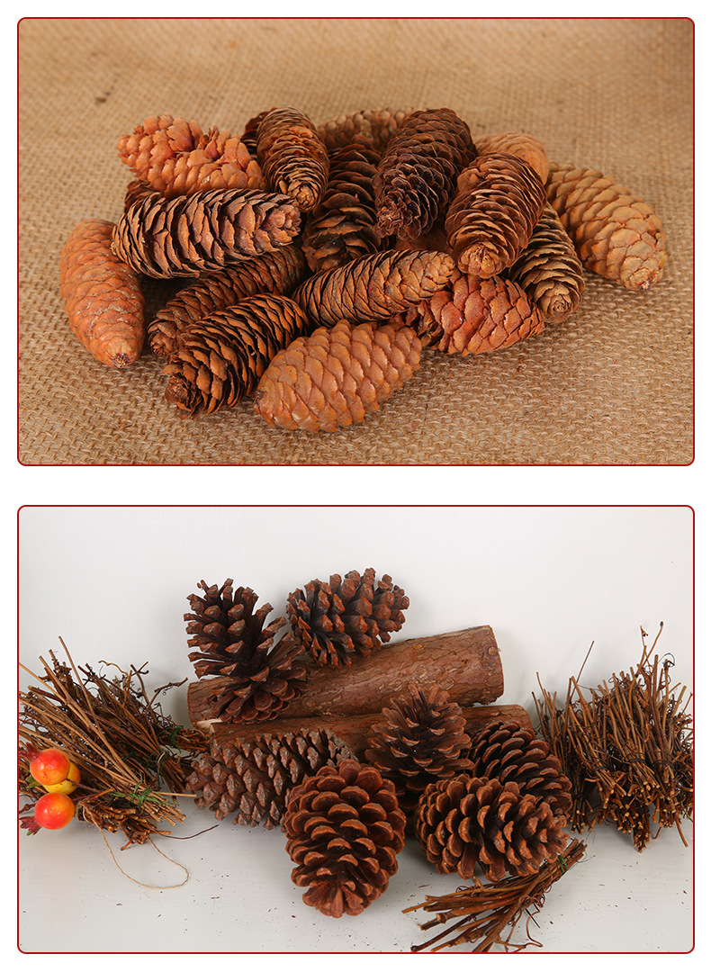 本色松果天然松塔油松落叶松美国松圣诞装饰干花插花配饰伴手礼盒