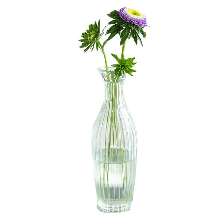 Creative Hydroponics Living Room Bedroom Decoration Table Flower Vase Fresh Glass Vase Transparent Colored Glass Bottle