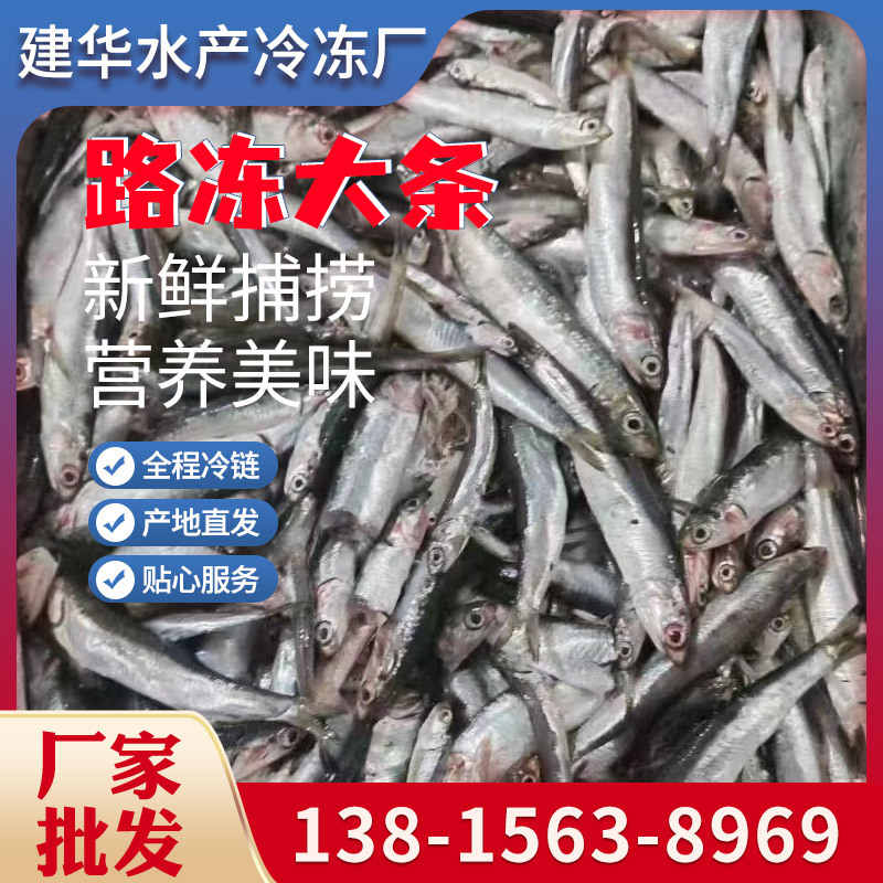 路冻大条 一锅10-14cm 出水烂 饲料鱼 海杂鱼 喂螃蟹喂狐狸喂貂