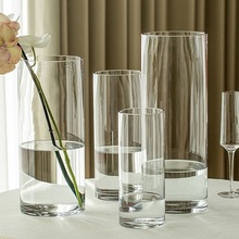 花瓶摆件客厅插花玻璃感透明水养轻奢鲜花简约网红