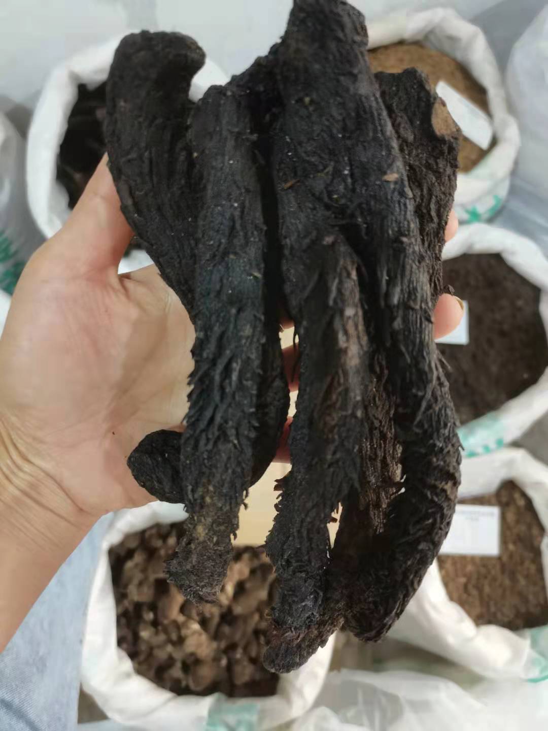 同稳药材甜肉苁蓉大芸新疆肉苁蓉斤起批散装批发产地直供