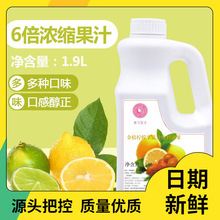 米雪商用金桔柠檬浓缩果汁 夏季饮料果浆冷饮饮品奶茶店1.9L