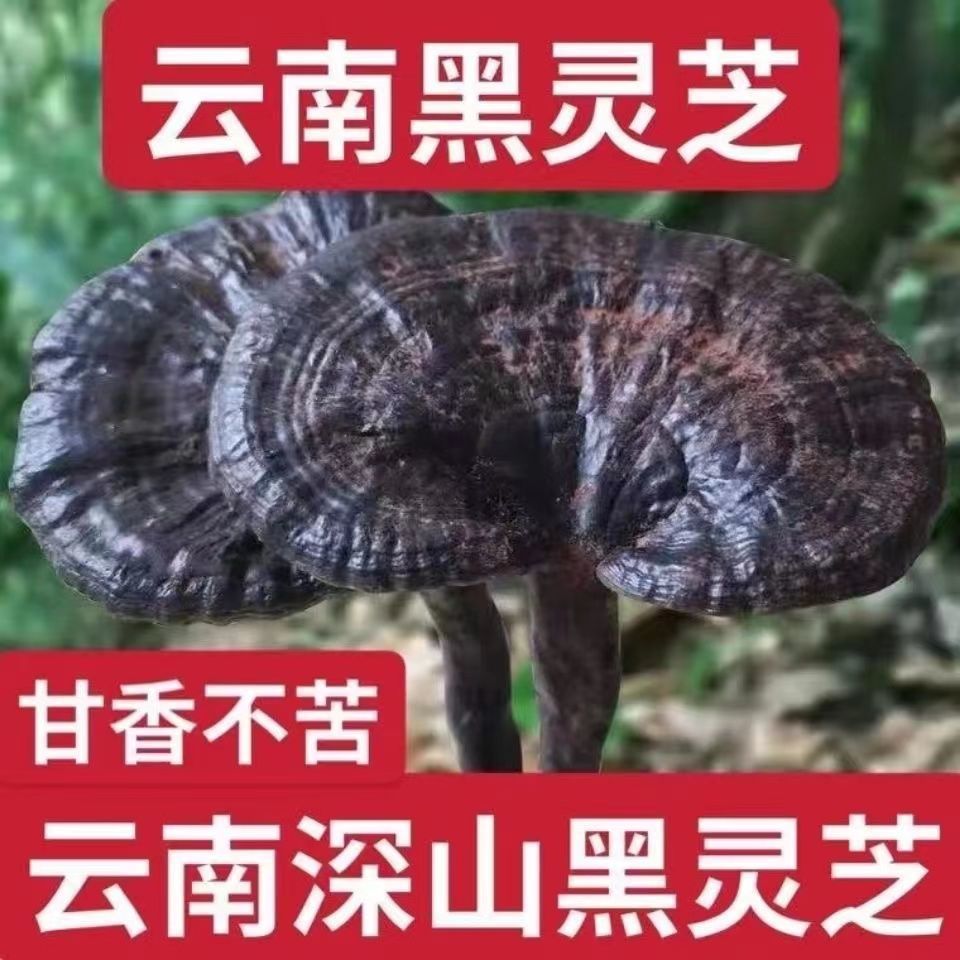 深山野生黑灵芝天然黑灵芝片泡茶煮茶煲汤泡酒养生男女包邮-阿里巴巴