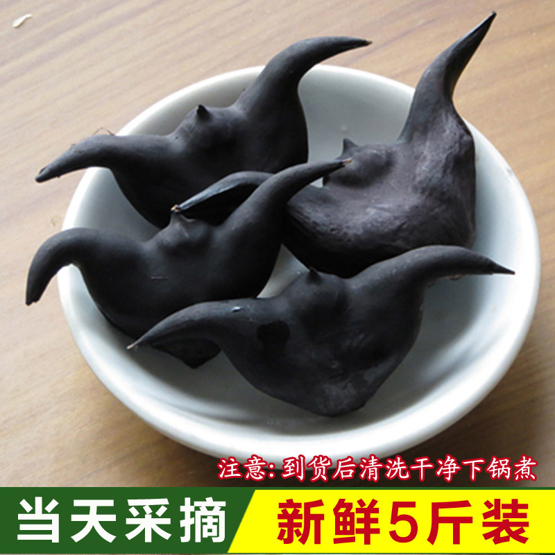 菱角新鲜野生现摘老菱角水果当季农家特产棱角5斤