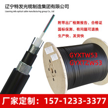 GYXTW53-12B1 中心束管结构重铠装直埋光缆 12芯单模GYXTW53光缆